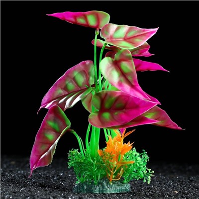 Растение искусственное аквариумное, 22 см, фиолетово-зелёный