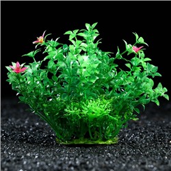 Растение искусственное аквариумное, 15 см, зелёное, 1 шт.