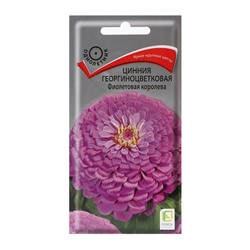 Семена цветов Цинния георгиноцветковая "Фиолетовая королева" 0,4 г