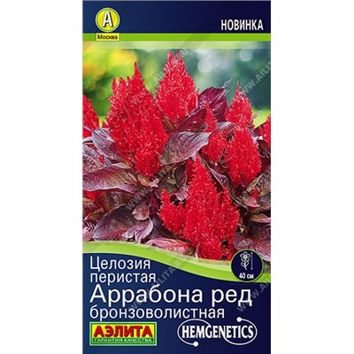 Целозия Аррабона ред бронзоволистная (Код: 92538)