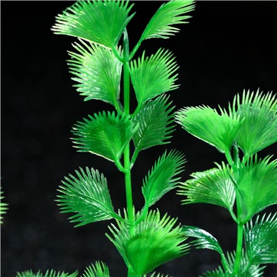 Растение искусственное аквариумное, 4 х 20 см, зелёное, 1 шт.
