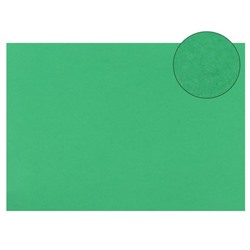 Картон цветной Sadipal Sirio, 210 х 297 мм,1 лист, 170 г/м2, ярко-зелёный, цена за 1 лист