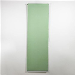 Штора рулонная «Нюд», блэкаут, 60×250 см, цвет зелёный