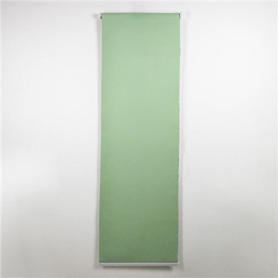 Штора рулонная «Нюд», блэкаут, 60×250 см, цвет зелёный