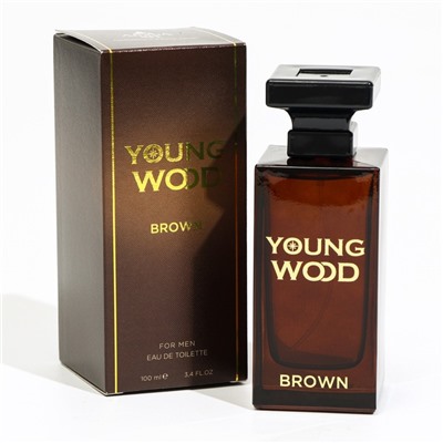 Туалетная вода мужская Young Wood "Brown", 100 мл