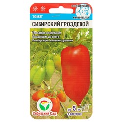 Семена Томат "Сибирский" гроздевой", среднеспелый, 20 шт