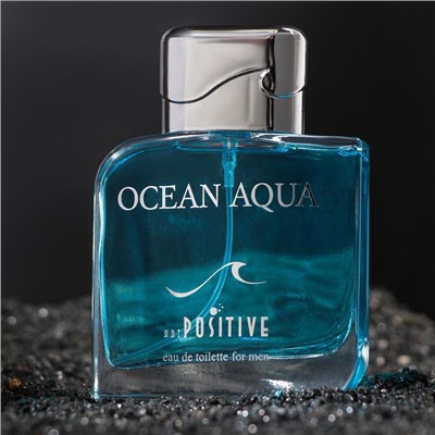 Туалетная вода мужская OCEAN AQUA, 100 мл