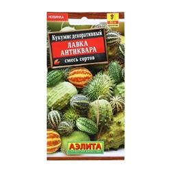 Семена Цветов Кукумис декоративный "Лавка антиквара", смесь сортов, 10 шт