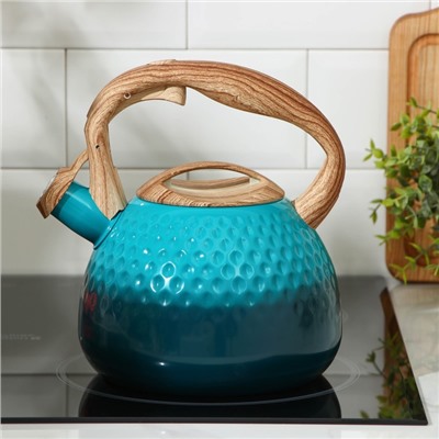 Чайник со свистком Mist, 3 л, 23×19×22 см, цвет зелёный