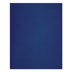 Тетрадь 96л. BG бумвинил, линия (Т5бв96л_12336) синяя