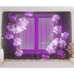 Фототюль «Цветы магнолии на пурпурном фоне», размер 290 х 260 см, вуаль