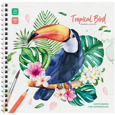 Скетчбук 190*190мм 20л., 180г/м, на гребне, карт.обложка "Tropical Bird" (Сак20грг_38350,  ArtSpace)