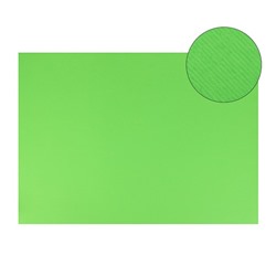 Картон цветной Sadipal Sirio двусторонний: текстурный/гладкий, 700 х 500 мм, Sadipal Fabriano Elle Erre, 220 г/м, зеленый яркий