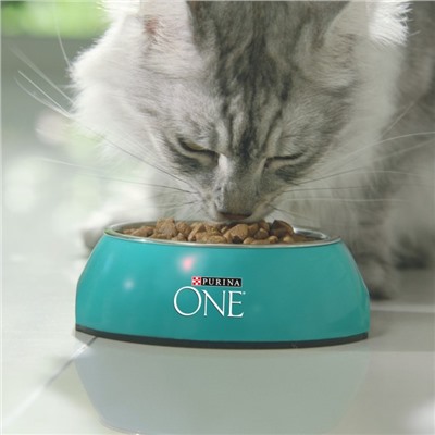 Сухой корм Purina One "Природа здоровья" для кошек, курица, 680 г