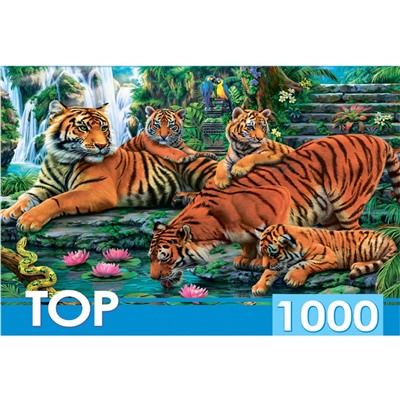 TOPpuzzle 1000 элементов "Семейство тигров" (ХТП1000-2160)