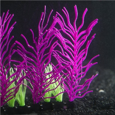 Растение силиконовое аквариумное, светящееся в темноте, 17 х 12 см, фиолетовое