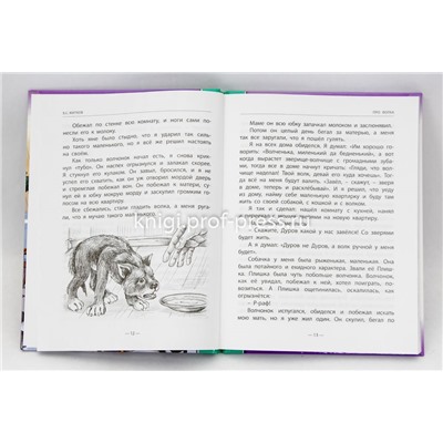Книжка "Школьная библиотека. Разиня и другие рассказы" (26785-9)