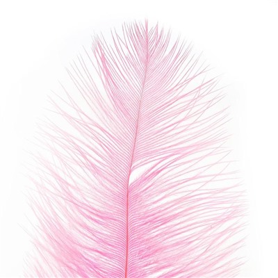 Перо для декора, размер: 30-35 см, цвет розовый