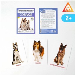 Обучающие карточки по методике Г. Домана «Собаки», 10 карт, А6