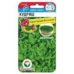 Кресс-салат Кудряш (Код: 90150)