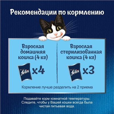 Влажный корм FELIX Sensations для кошек, утка/морковь в соусе, пауч, 85 г