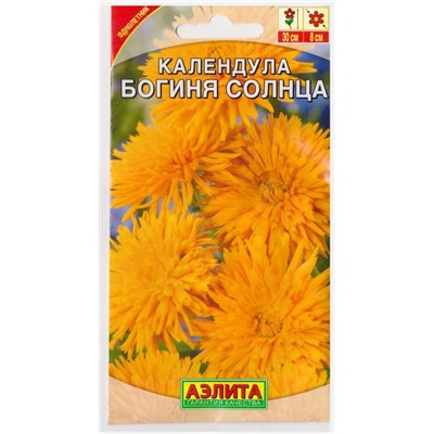 Календула Богиня солнца (Код: 9977)