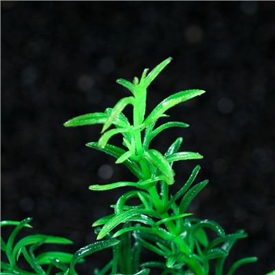 Растение искусственное аквариумное, 4 х 20 см, зеленое, 1 шт.