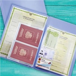 Папка для семейных документов с файлом для паспортов A4 ПВХ светло голубая 2137.П-124 ДПС {Россия}