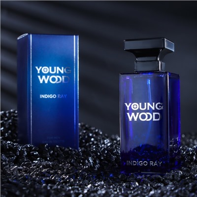 Туалетная вода мужская Young Wood "Indigo Ray", 100 мл