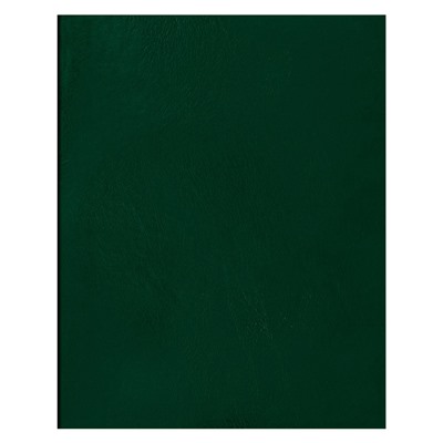 Тетрадь 80л. А4 бумвинил, клетка (Т4бв80к_12324, BG) зеленый