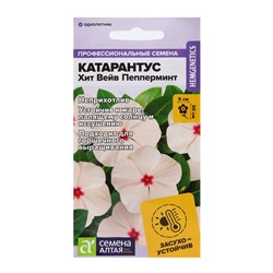 Семена цветов Катарантус "Теплая волна", пеперминт, 7 шт.