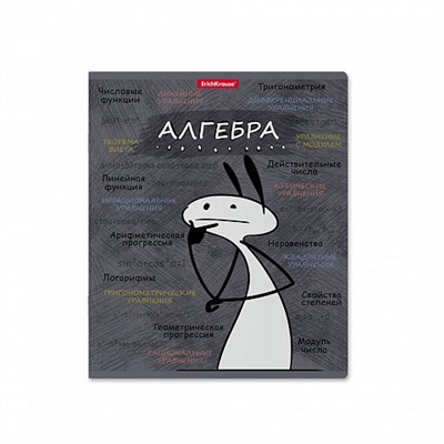 Тетрадь 48л. ЧУБРИК "Алгебра" (59470, ErichKrause) пластиковая обложка