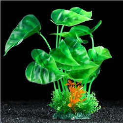 Растение искусственное аквариумное, 22 см, зелёный