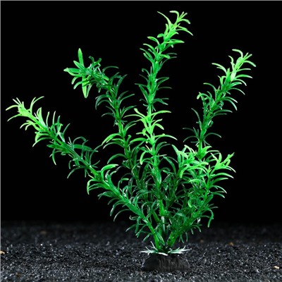 Растение искусственное аквариумное, 4 х 20 см, зеленое, 1 шт.