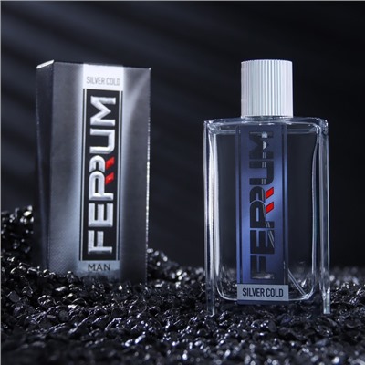 Туалетная вода мужская Ferrum "Silver Cold', 100 мл