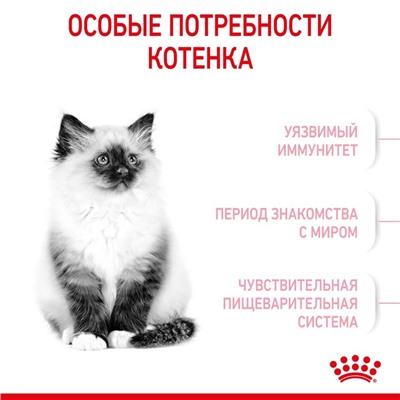 Сухой корм RC Kitten для котят, 2 кг