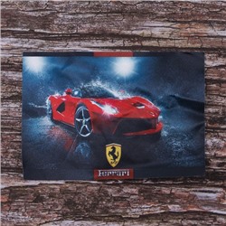 Декоративный  элемент пришивной Ferrari 20,5*14,5 см