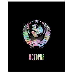 Тетрадь 48л. ТОЧКА РУ "История" (ТП5ск48_лм_тф 56384, BG) матовая ламинация, тиснение фольгой, блок 70г/м2