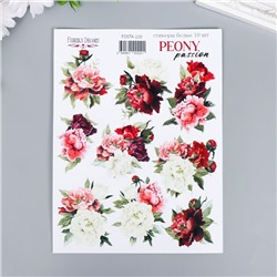 Набор стикеров "Peony passion" 9 шт