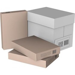 Бумага А4 500л 80 г/м2 WHITE BOX ECO 60 % ЭКОА4 Svetocopy {Россия}