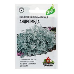 Семена цветов Цинерария приморская "Андромеда", О, 0,5 г  серия ХИТ х3
