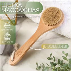 Щётка массажная из натуральной щетины, с ручкой, гладкая