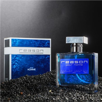 Туалетная вода мужская Reason pour homme, 100 мл