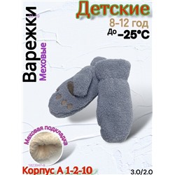 Детские варежки 1823947-9