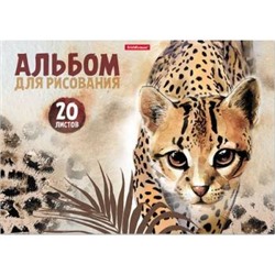 Альбом для рисования 20л на склейке "Wild Cat" 49829 Erich Krause {Россия}