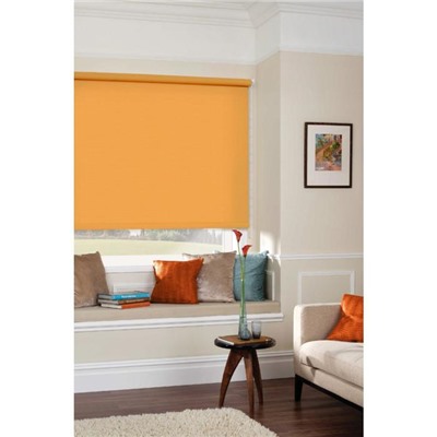 Рулонная штора «Апельсин», 37х170 см