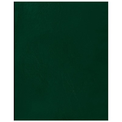 Тетрадь 96л. А4 бумвинил, клетка (Т4бв96к_12339, "BG") зеленая