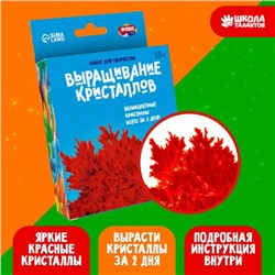 Набор для творчества «Лучистые кристаллы», цвет красный