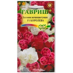 Бегония Королева F1 (Код: 72061)