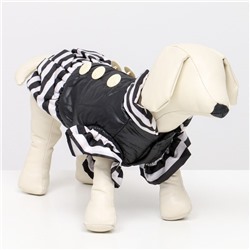 Курточка для собак с воланами, размер 2 (ДС 23,ОШ 26, ОГ 33 см), чёрная